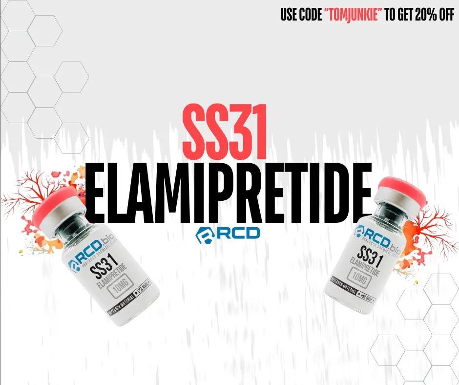 article-ss31.html
